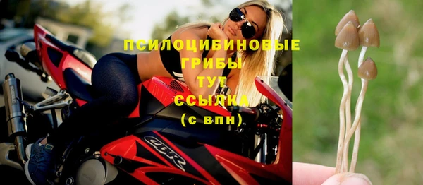 прущая мука Вязьма