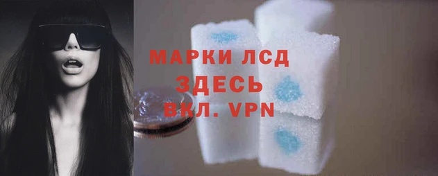 СК Вяземский