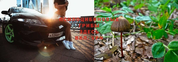 тгк Снежногорск