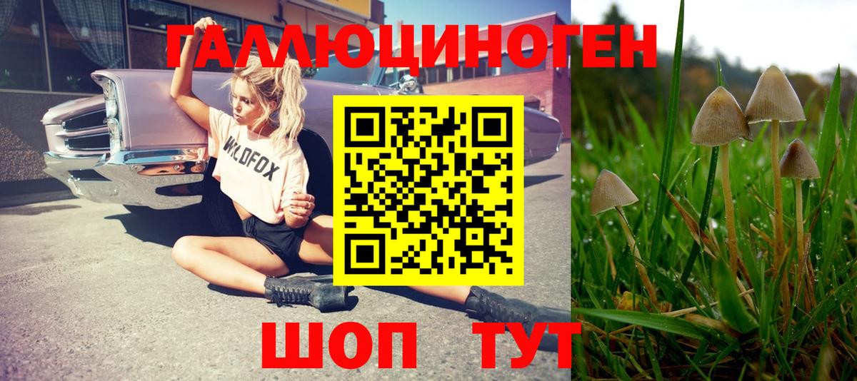 Псилоцибиновые грибы ЛСД  Вход с VPN  Дятьково  Псилоцибиновые грибы Magic Shrooms 