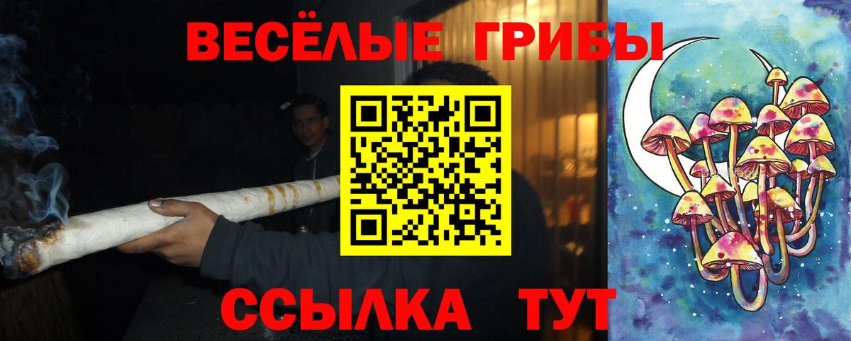 Галлюциногенные грибы GOLDEN TEACHER Дятьково